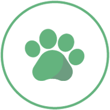 Software de gestión para comercios de mascotas y animales